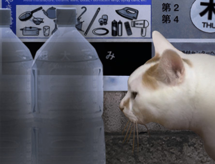 PC《翌日 Tsugunohi》免安装中文版下载_1