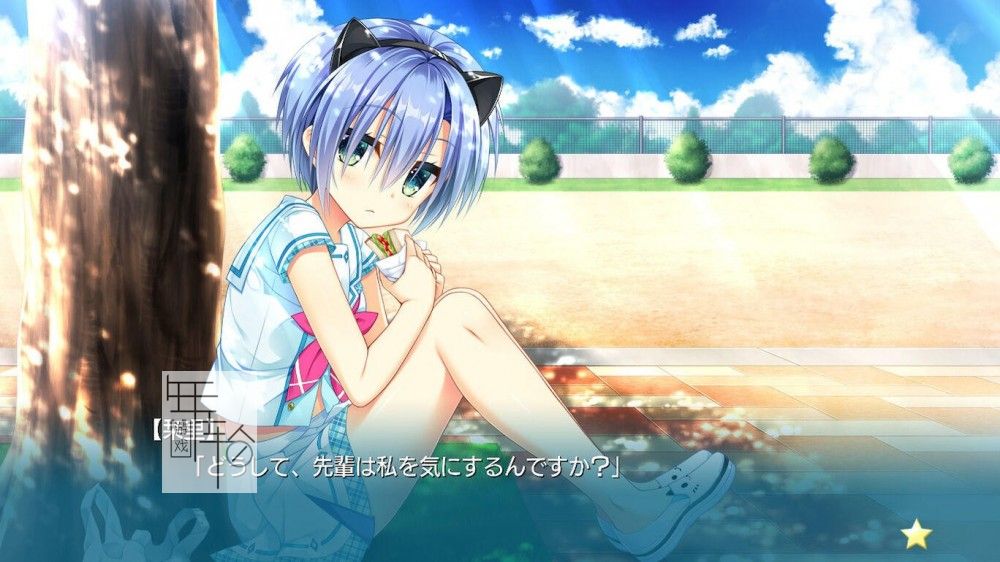 switch《闪耀★青春追逐记 かけぬけ★青春スパーキング！》日文版nsp/xci下载_3