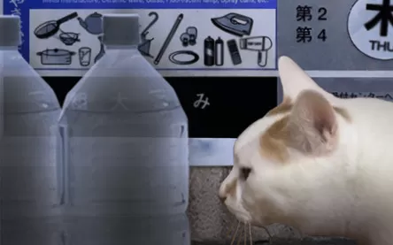 PC《翌日 Tsugunohi》免安装中文版下载