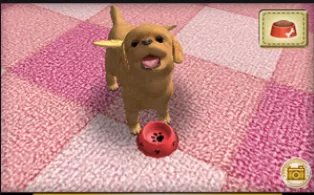 3DS《小狗学校 可爱汪星人 Dog School – Lovely Puppy》日版3ds下载