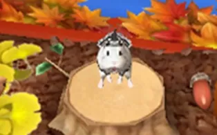 3DS《与漂亮的仓鼠一起生活 共同外出 Oshare Hamster to Kurasou – Issho ni Odekake》日版3ds下载
