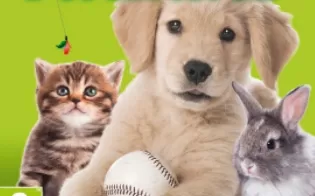 3DS《我的宠物宝宝酒店3D My Baby Pet Hotel 3D》欧版3ds下载