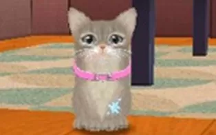 3DS《可爱的小猫3D Kawaii Koneko 3D》日版3ds下载
