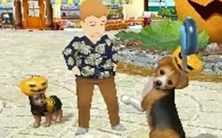3DS《宠物沙滩 Petz Beach》美版3ds下载