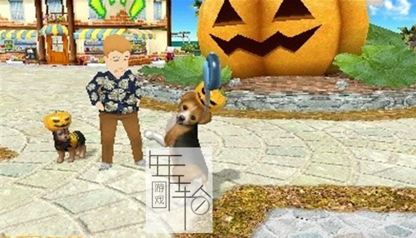 3DS《宠物沙滩 Petz Beach》欧版3ds下载_0