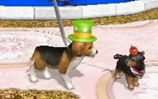 3DS《宠物沙滩 Petz Beach》欧版3ds下载