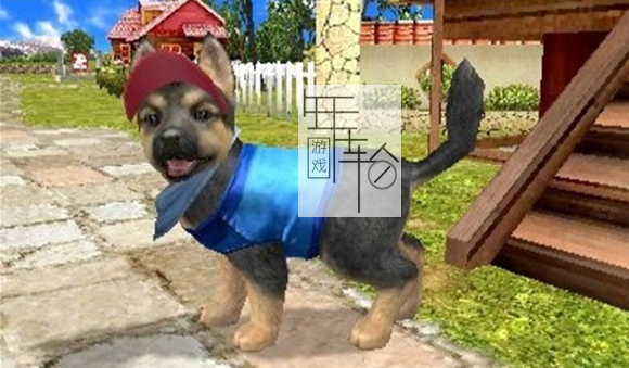 3DS《宠物乡村 Petz Countryside》欧版3ds下载_1