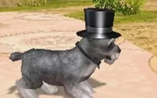 3DS《宠物乡村 Petz Countryside》欧版3ds下载