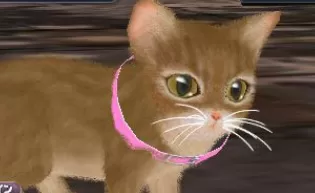 3DS《我和我的宠物3D Me & My Pets 3D》欧版3ds下载