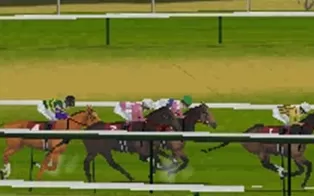 3DS《德比赛马 黄金版 Derby Stallion Gold》日版3ds下载