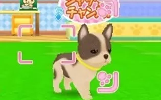 3DS《猫狗宠物医院 成为出色的兽医吧 Wan Nyan Dobutsu Byouin – Suteki na Juui-San ni Narou!》日版3ds下载