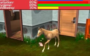 3DS《我的动物园-兽医实践 3D My Zoo – Vet Practice 3D》欧版3ds下载