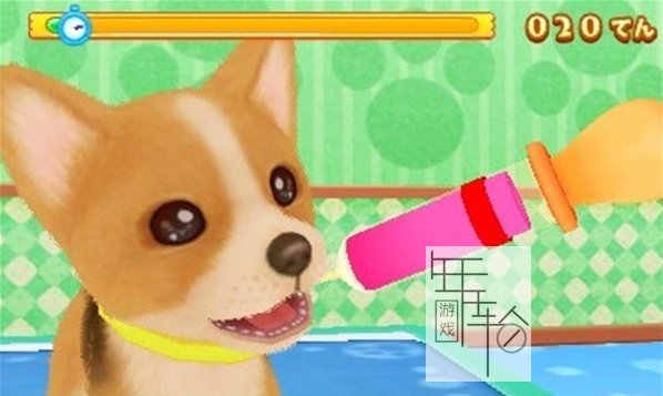 3DS《猫狗宠物医院 成为出色的兽医吧 Wan Nyan Dobutsu Byouin – Suteki na Juui-San ni Narou!》日版3ds下载_1