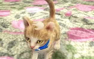 3DS《任天狗+猫-法国斗牛犬与新朋友们 Nintendogs + Cats – French Bulldog & New Friends》日版3ds下载