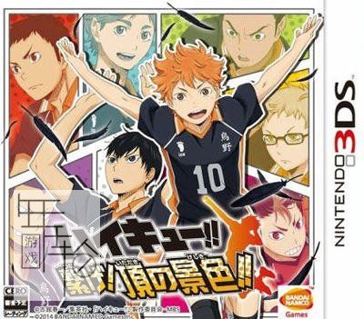 3DS《排球少年 混合组队赛 Haikyu!! Cross Team Match!》日版3ds下载_0