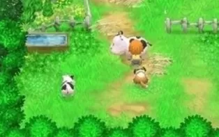 3DS《牧场物语3D-双子村历险 Harvest Moon 3D – The Tale of Two Towns》美版1.02版3DS下载