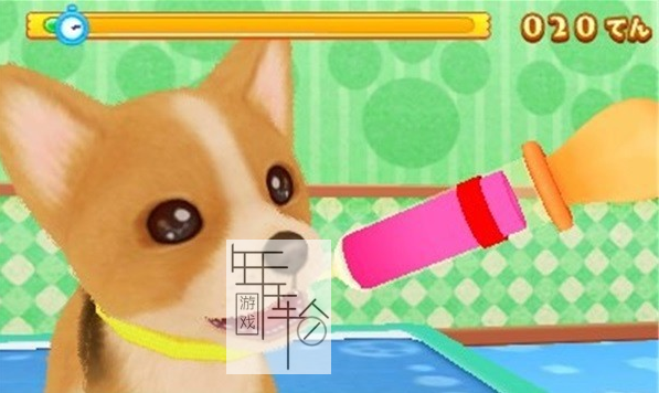 3DS《猫狗宠物医院 成为兽医吧 Wan Nyan Doubutsu Byouin Pet no Oisha-san ni Narou!》日版3ds下载_1