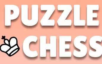 switch《Puzzle and Chess》英文版nsp/xci下载