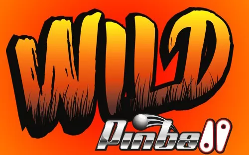 switch《Wild Pinball Bundle》英文版nsp/xci整合版下载【含1.0.2补丁】