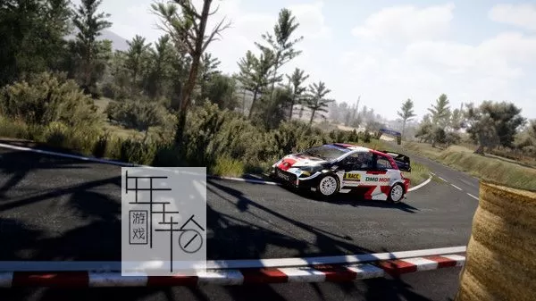 switch《世界汽车拉力锦标赛10 WRC 10》中文版nsz下载【含1.0.1补丁+5DLC】_2