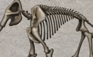 switch《史前生命之谜 Prehistoric Life Puzzles》英文版nsp下载