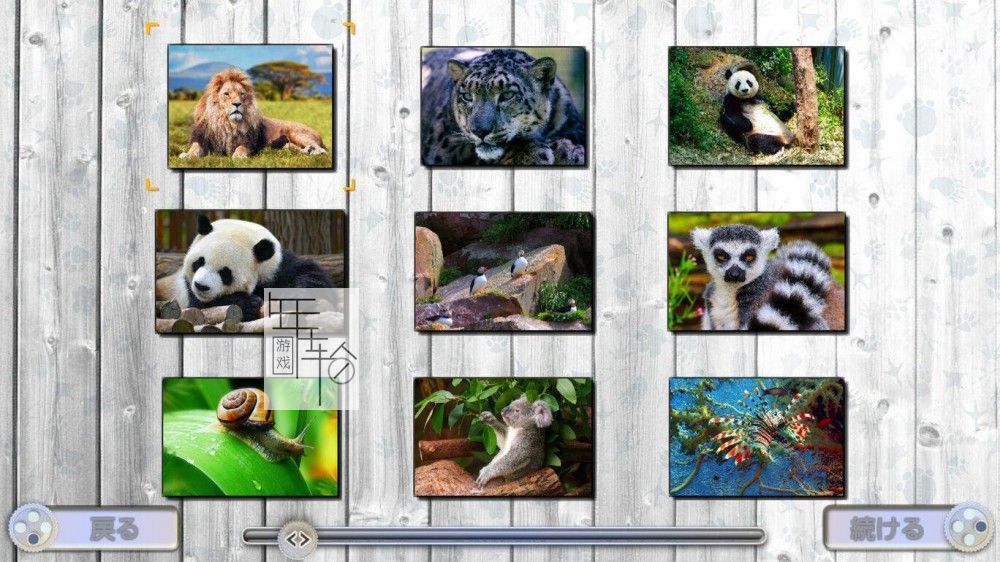switch《快乐拼图：迷人的动物 Jigsaw Fun Amazing Animals》中文版nsp/xci下载【含v4.0补丁】_2