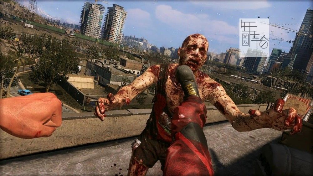 【顶】switch《消逝的光芒:白金版 Dying Light Platinum Edition》中文版nsp/xci下载【含1.0.5补丁】_4