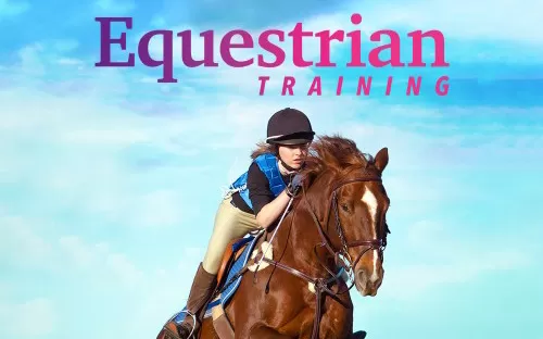 switch《马术训练 Equestrian Training》英文版nsp/xci整合版下载【含1.0.4补丁】