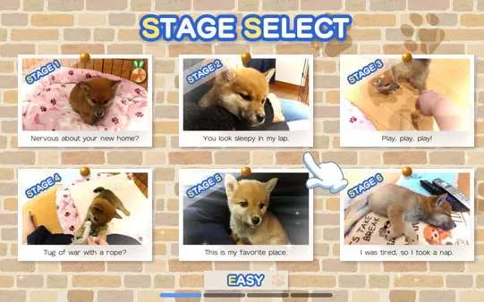 switch《Pixel Game Maker Series Shiba Mekuri》英文版nsp下载