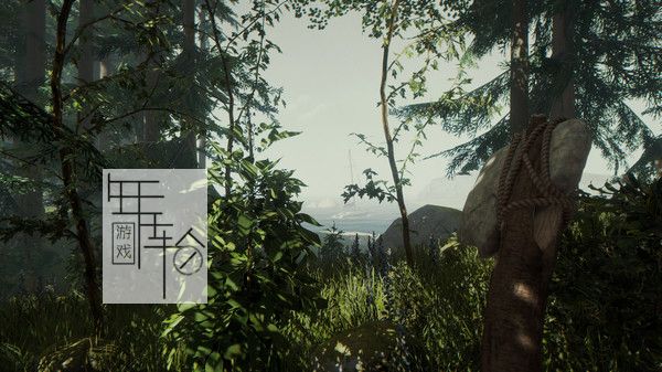 【5.05】PS《森林 The Forest》英文版下载【含1.15补丁】_1