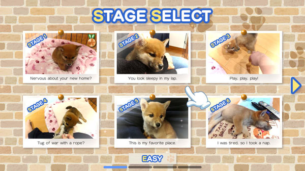 switch《Pixel Game Maker Series Shiba Mekuri》英文版nsp下载_0