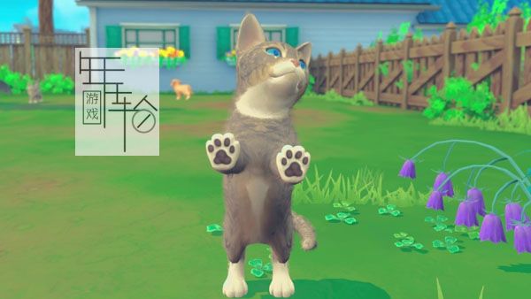 switch《我的领域：小猫小狗 My Universe - Puppies & Kittens》中文版nsp下载【含1.0.3补丁】_3