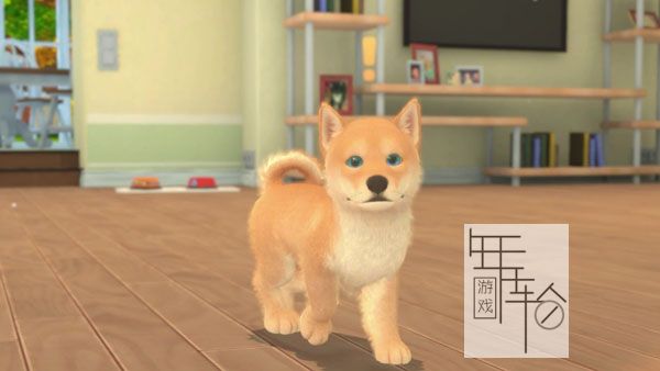 switch《我的领域：小猫小狗 My Universe - Puppies & Kittens》中文版nsp下载【含1.0.3补丁】_1