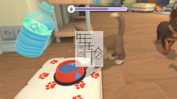 switch《我的领域：小猫小狗 My Universe - Puppies & Kittens》中文版nsp下载【含1.0.3补丁】_2