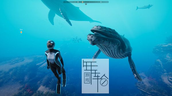 switch《超越蔚蓝 Beyond Blue》中文版nsp下载_0