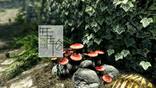 【合集】PC《上古卷轴5：周年纪念版/上古卷轴5：天际10周年重制版》中文版下载v1.6.1170_2