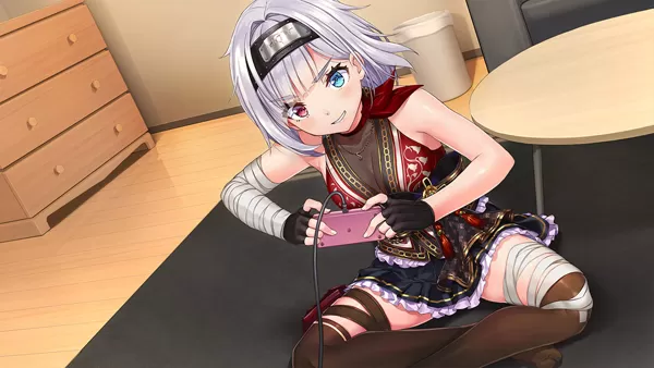 switch《NinNinDays2》中文版nsp下载_0