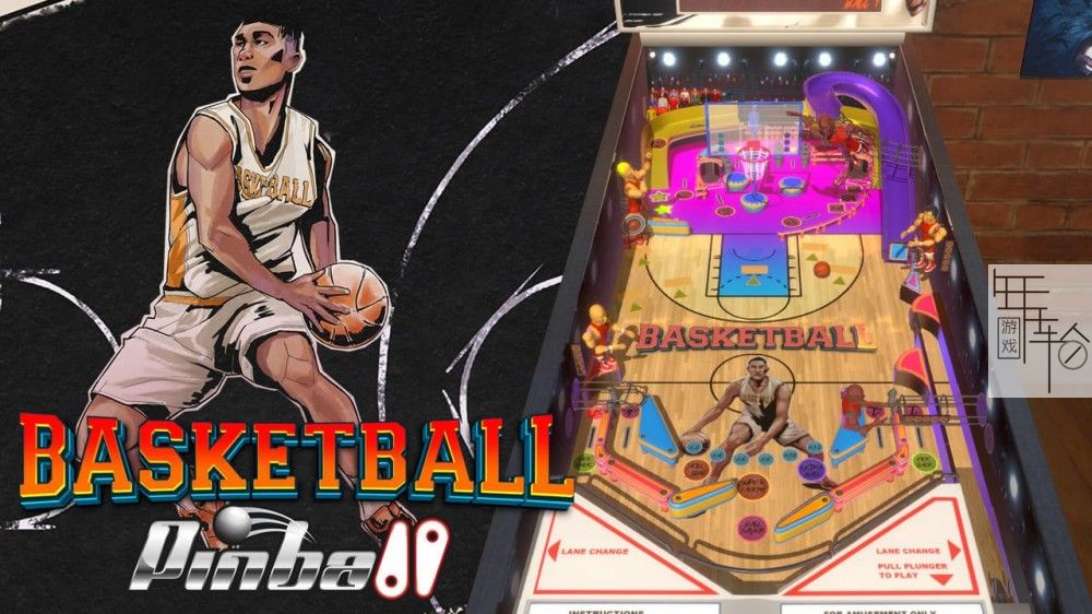 switch《运动&野外弹球 Sports & Wild Pinball》英文版nsp/xci下载_2