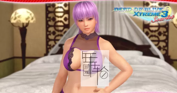 switch《生死格斗沙滩排球3绯红》中文版XCI整合版下载（含V1.06+55DLC+完美泳装存档）_2