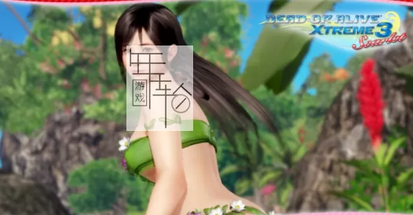 switch《生死格斗沙滩排球3绯红》中文版XCI整合版下载（含V1.06+55DLC+完美泳装存档）_5