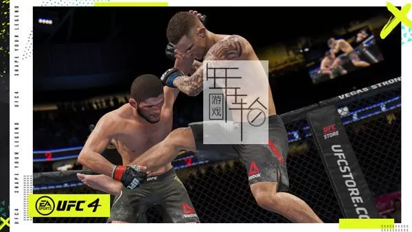 【9.0】PS4《UFC 终极格斗冠军赛4 EA Sports UFC 4》中文版pkg下载（v24）_1