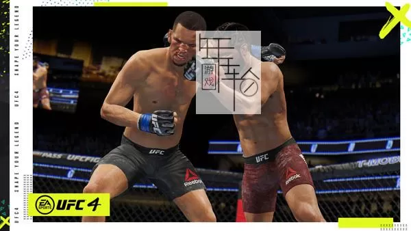【9.0】PS4《UFC 终极格斗冠军赛4 EA Sports UFC 4》中文版pkg下载（v24）_3