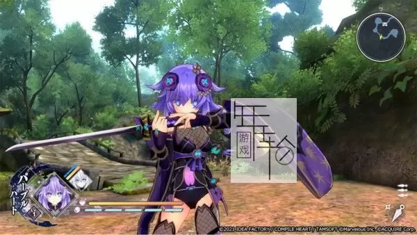 【9.0】PS4《闪乱忍忍忍者大战海王星 -少女们的响艳-》美版英文pkg下载（v1.02_0