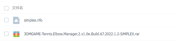 PC《网球精英经理2 Tennis Elbow Manager 2》中文版下载_4