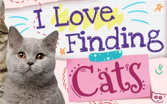 switch《我爱找猫 I Love Finding Cats! – Collector’s Edition》英文版nsp/xci下载