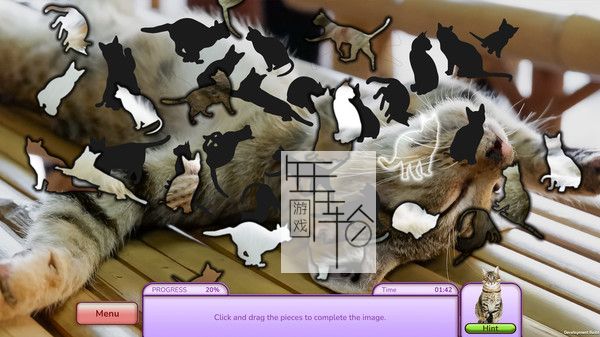 switch《我爱找猫 I Love Finding Cats! – Collector’s Edition》英文版nsp/xci下载_1