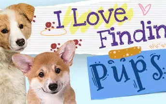 switch《我爱找小狗 I Love Finding Pups - Collectors Edition》英文版nsp/xci下载