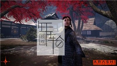 【9.0/5.05降级】PS4《岚：罪恶之城 Arashi：Castles of Sin》英文版pkg下载_1