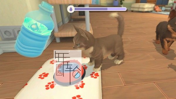 PC《我的领域:小狗和小猫 My Universe - Puppies & Kittens》中文版下载_2