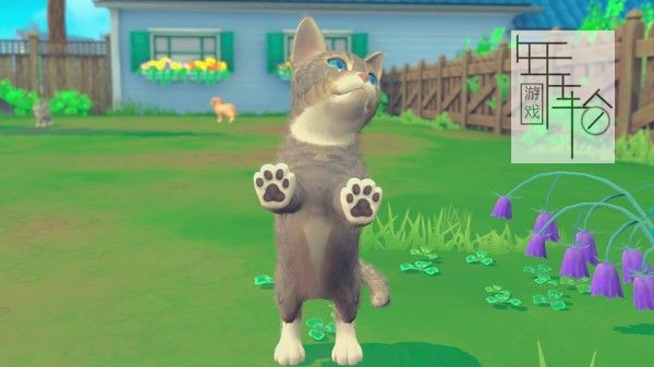 PC《我的领域:小狗和小猫 My Universe - Puppies & Kittens》中文版下载_3